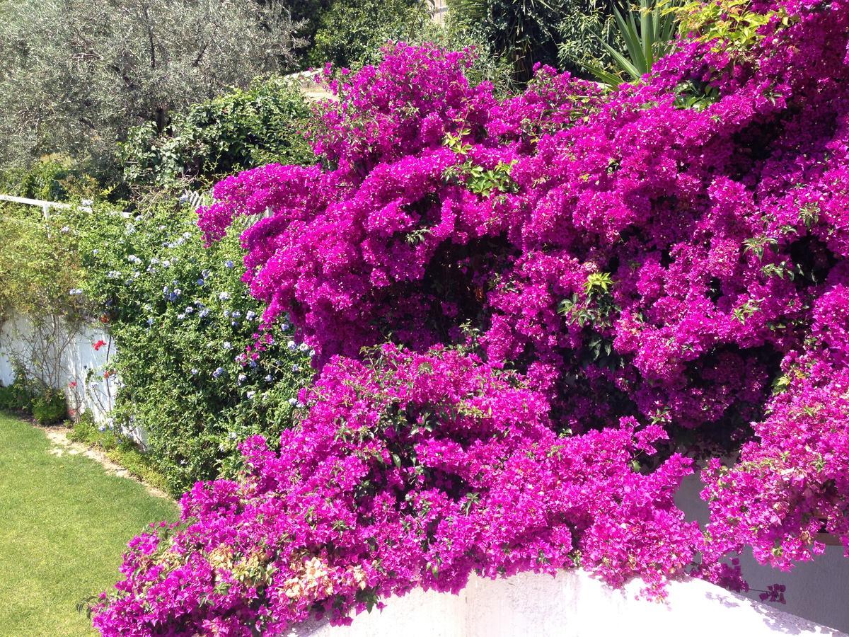 Beautiful Pelion Sea House Villa Kato Gatzea Buitenkant foto